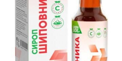 Može li se piti šipak kod dijabetesa